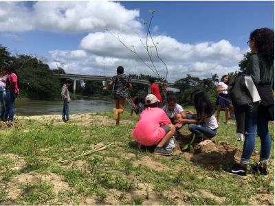 Prefeitura Municipal de Juquiá Realiza Plantio de Árvores Nativas nas Margens do Rio Juquiá